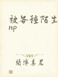 被各种陌生人 np