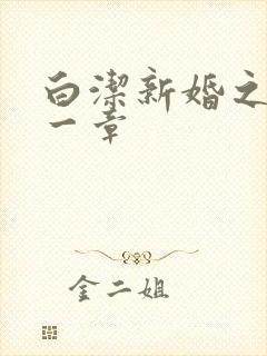 白洁新婚之夜第一章