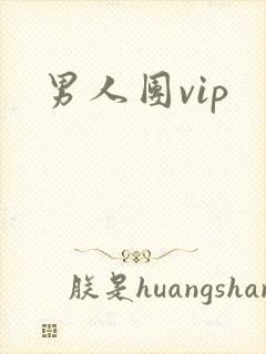 男人团vip