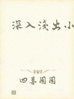 深入浅出小说