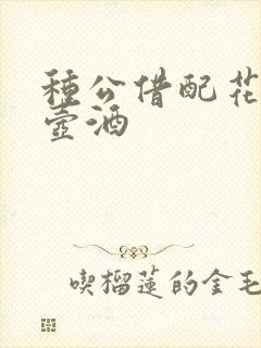 种公借配花间一壶酒