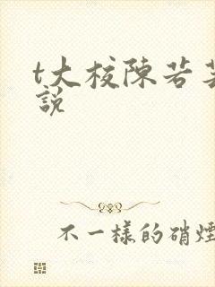 t大校陈若芸小说