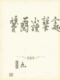 顽石小说全文免费阅读笔趣阁