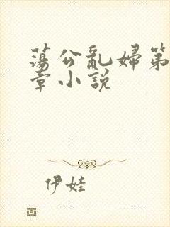 荡公乱妇第51章小说