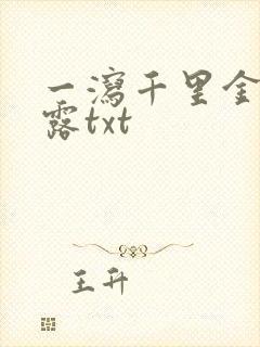 一泻千里金银花露txt