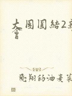 大团圆结2亲情会