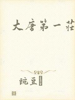 大唐第一庄