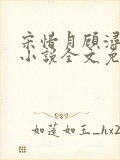 宋惜月顾浔渊的小说全文免费阅读