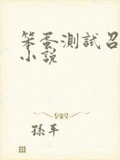 笨蛋测试召唤兽小说
