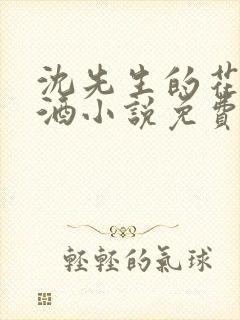 沈先生的花式调酒小说免费阅读