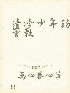 清冷少年的严厉管教