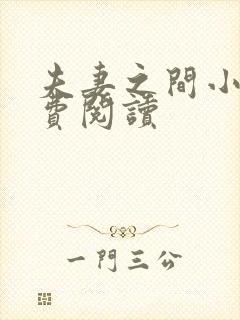 夫妻之间小说免费阅读