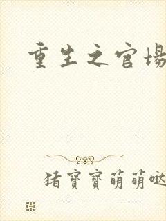 重生之官场风流