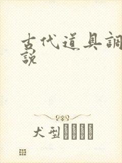 古代道具调教小说