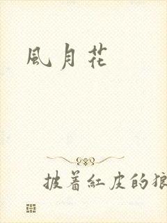 风月花
