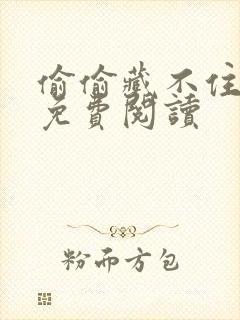 偷偷藏不住小说免费阅读