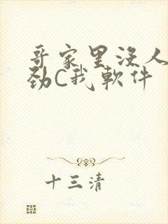 哥家里没人使点劲C我软件