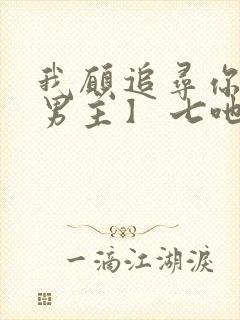 我愿追寻你【双男主】 七吔