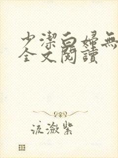 少洁白妇无删减全文阅读