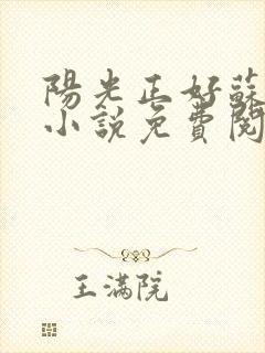 阳光正好苏玥玥小说免费阅读无弹窗