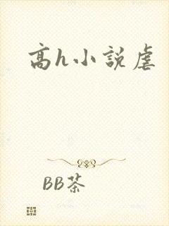高h小说虐