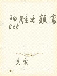 神雕之颠鸾倒凤txt