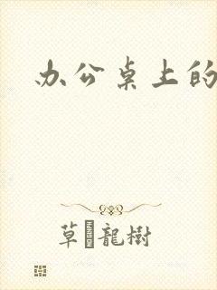 办公桌上的美味