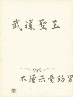武道圣王