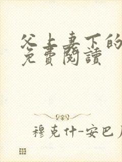 父上妻下的小说免费阅读