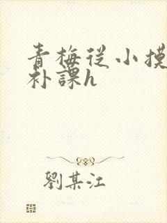 青梅从小摸到大补课h