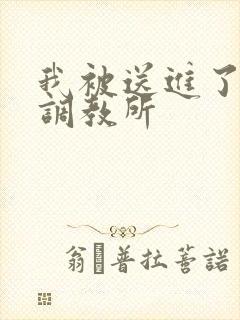 我被送进了私奴调教所