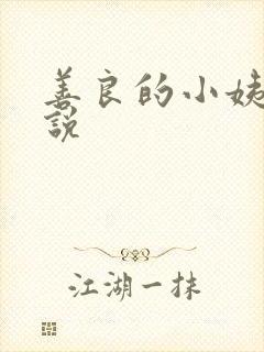 善良的小姨子小说