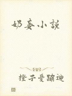 奶妾小说