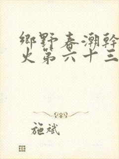 乡野春潮干柴烈火第六十三章