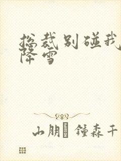 总裁别碰我 韩降雪