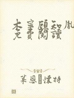 木宁顾知胤小说免费阅读