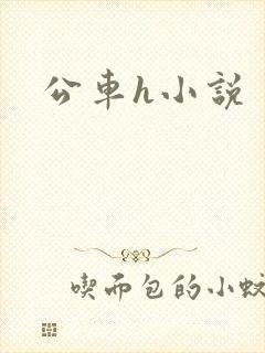 公车h小说