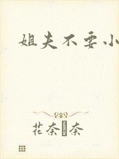 姐夫不要小说