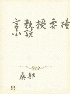 言教授要撞坏了小说