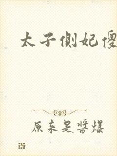 太子侧妃傻乎乎