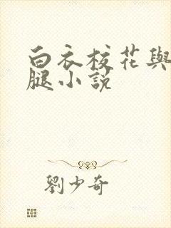 白衣校花与大长腿小说