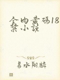 全肉黄码18无禁小说
