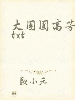 大团圆高芳小说txt