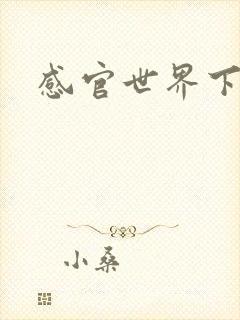 感官世界下载