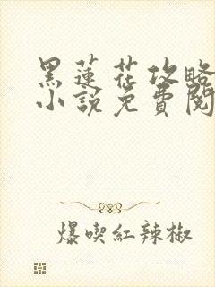 黑莲花攻略手册小说免费阅读