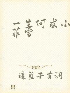 一生何求小说秦菲雪
