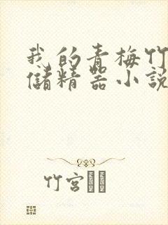 我的青梅竹马是储精器小说