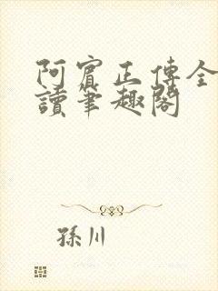 阿宾正传全文阅读笔趣阁