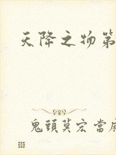 天降之物第一季