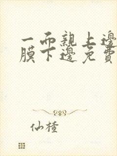 一面亲上边一面膜下边免费阅读